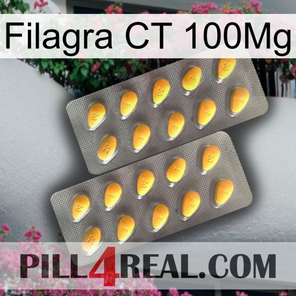 Filagra CT 100Mg cialis2.jpg